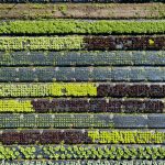 CONFERENCIA I «Desafíos de la Alimentación del Futuro»